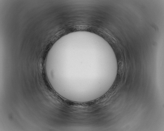 X0000111140655200906301018