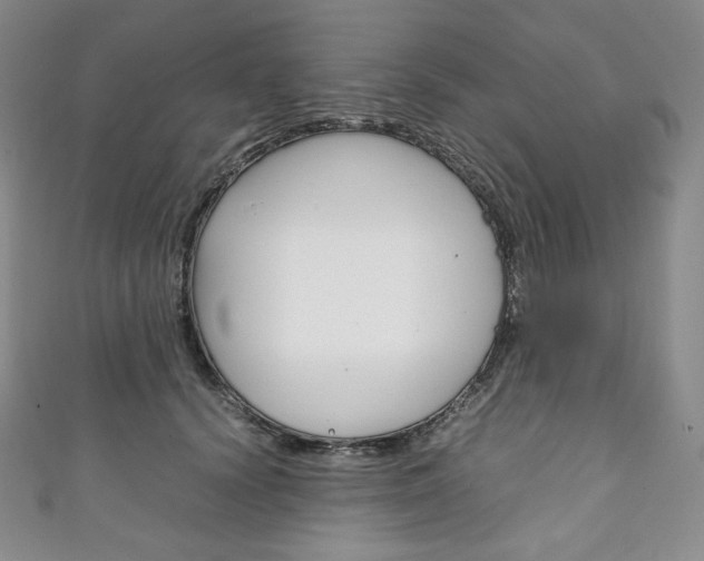 X0000111140656200906301018