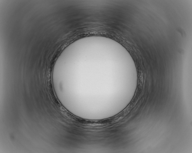X0000111140657200906301018
