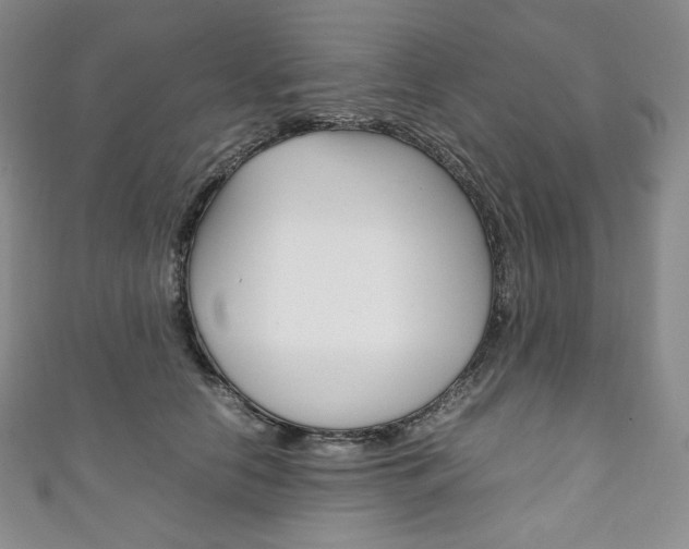 X0000111140658200906301018