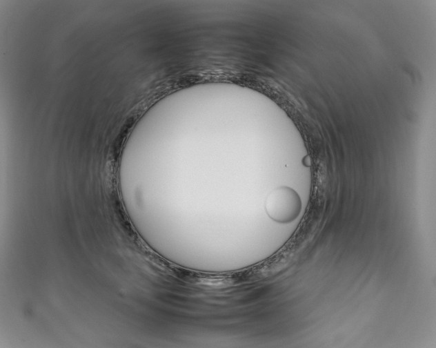 X0000111140659200906301018