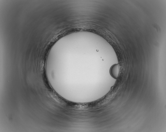 X0000111140660200906301018