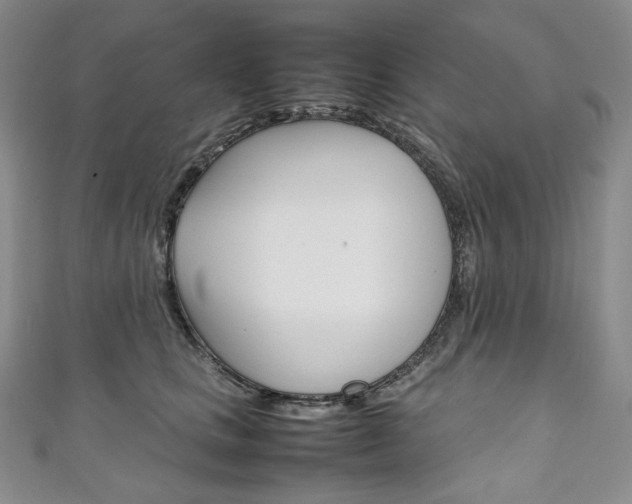 X0000111140661200906301018