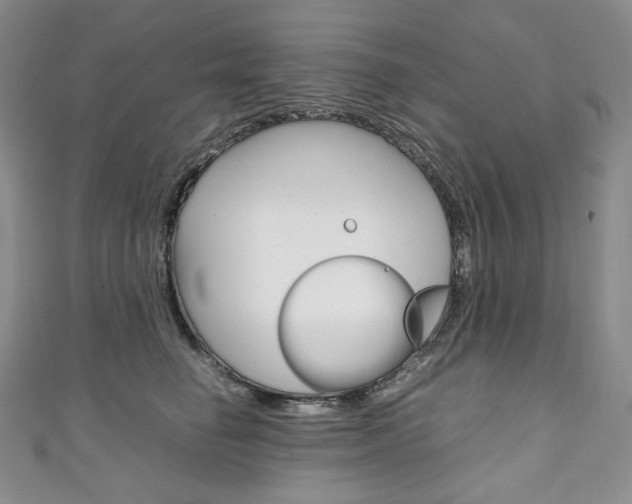 X0000111140662200906301018