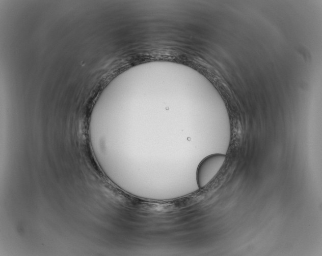X0000111140663200906301018