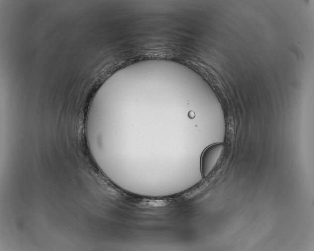 X0000111140665200906301018