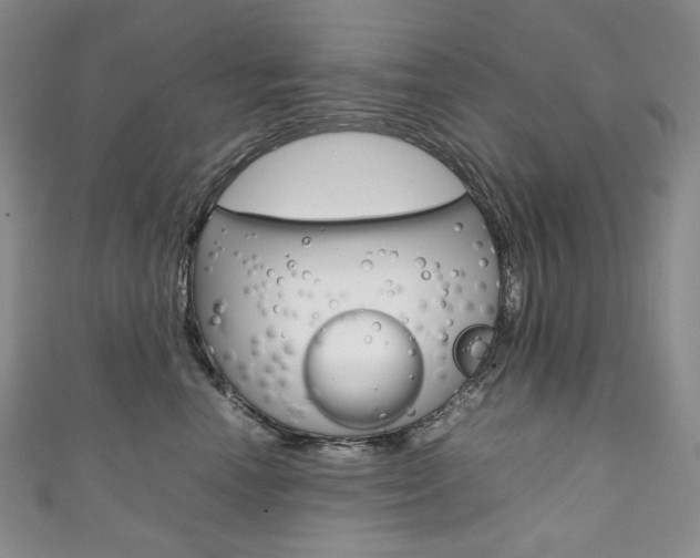 X0000111140666200906301018
