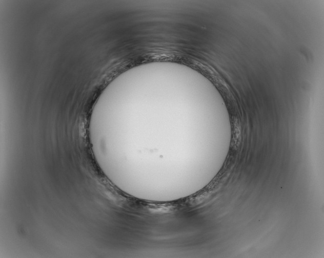 X0000111140667200906301018