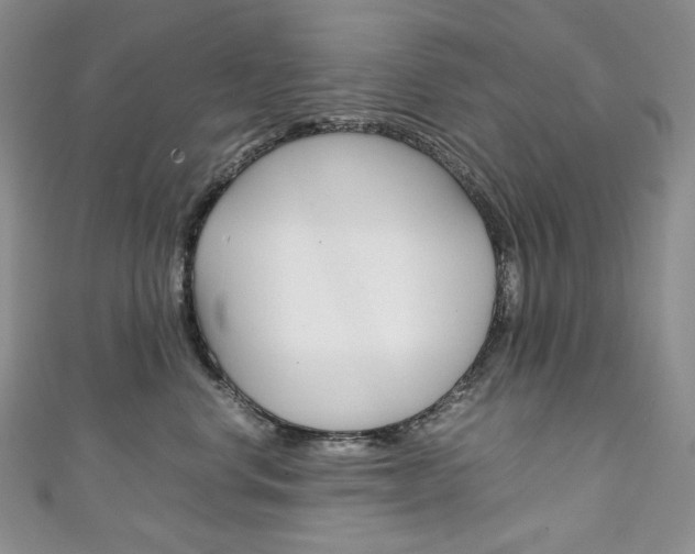 X0000111140668200906301018