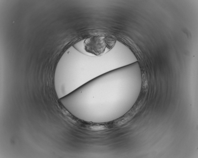 X0000111140669200906301018