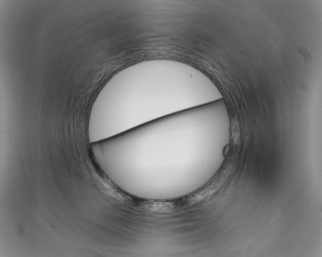 X0000111140670200906301018