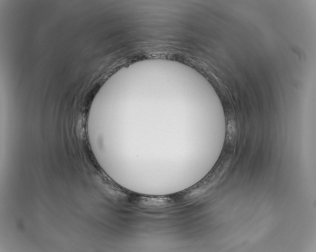 X0000111140671200906301018