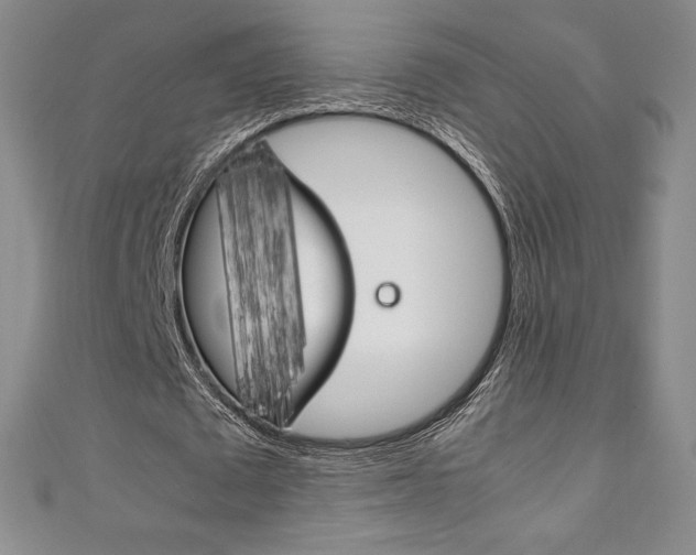 X0000111140673200906301017