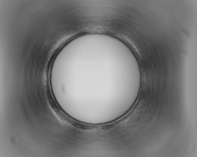 X0000111140674200906301017