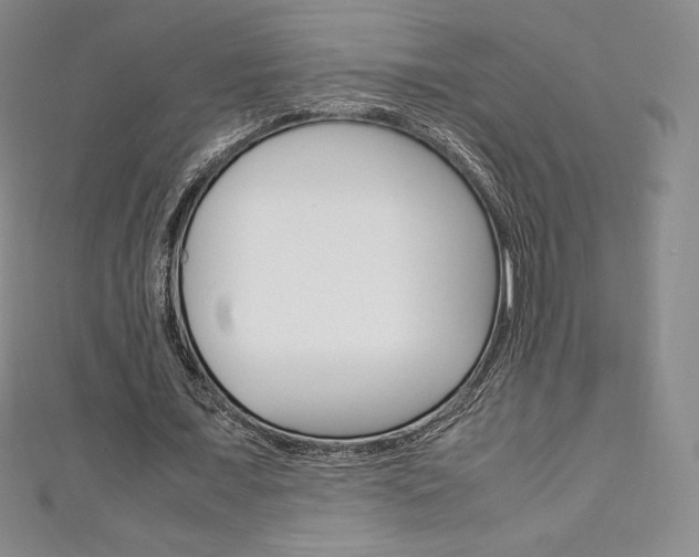 X0000111140675200906301017