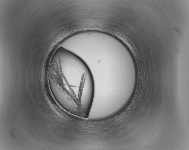 X0000111140677200906301017