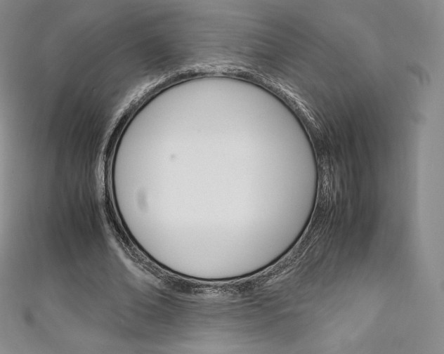 X0000111140678200906301017