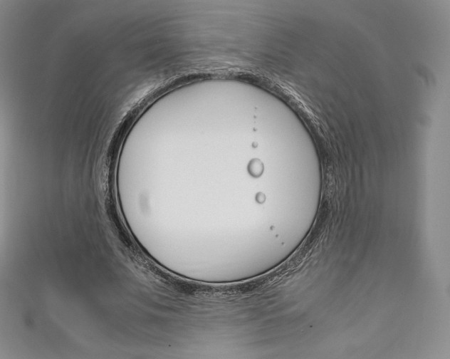 X0000111140679200906301017