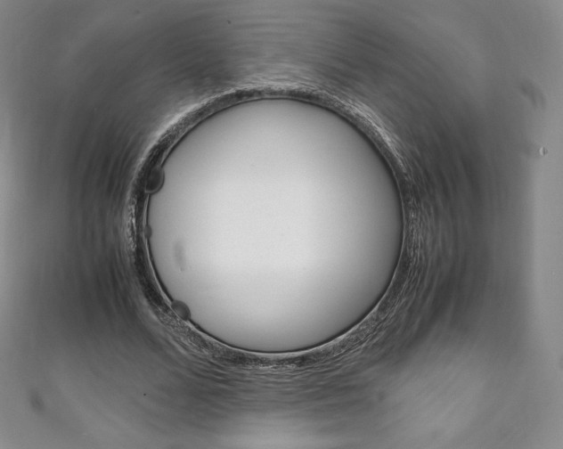 X0000111140680200906301017
