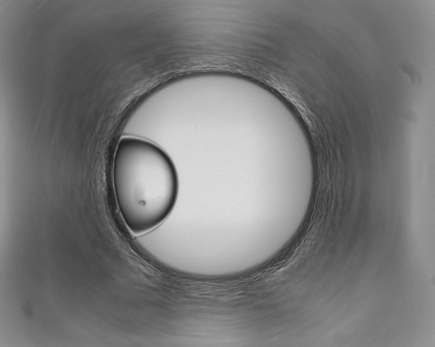 X0000111140681200906301017