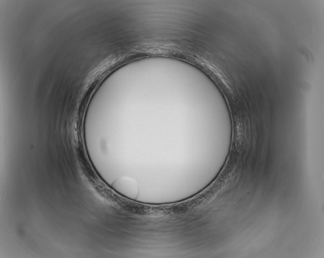 X0000111140682200906301017