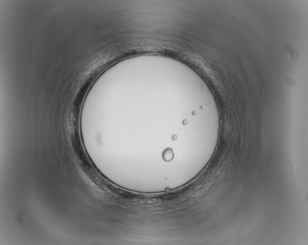X0000111140683200906301017