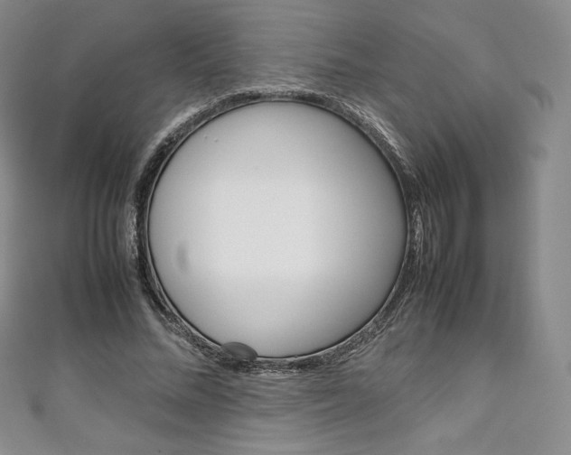 X0000111140684200906301017