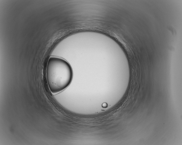 X0000111140685200906301017