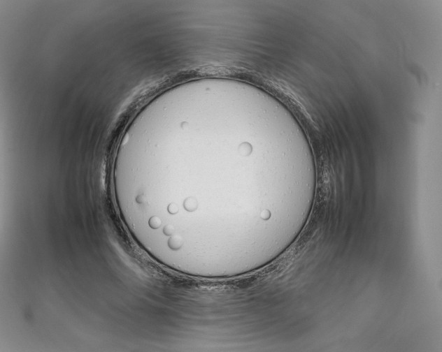 X0000111140686200906301017