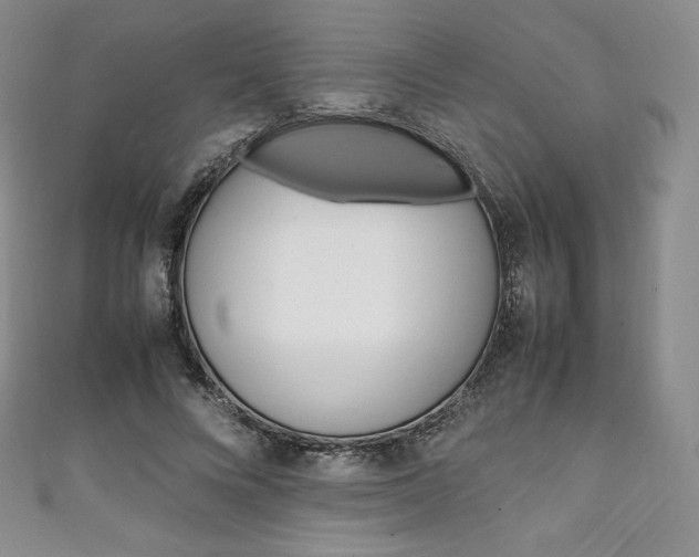 X0000111140688200906301017