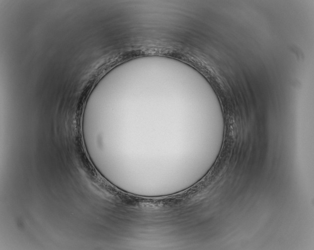 X0000111140690200906301017
