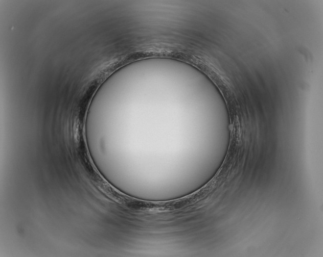 X0000111140692200906301017