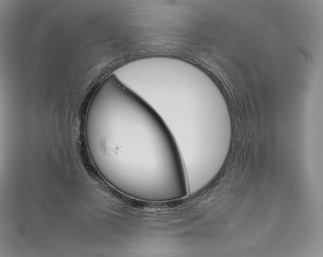 X0000111140693200906301017