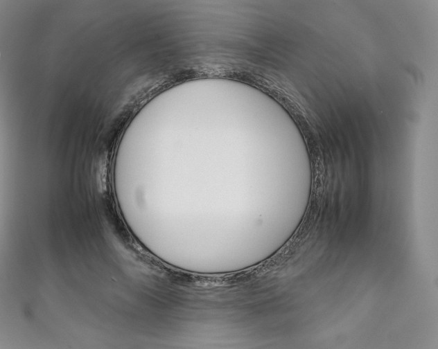 X0000111140694200906301017