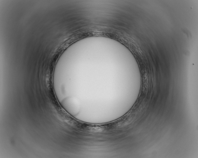 X0000111140698200906301017