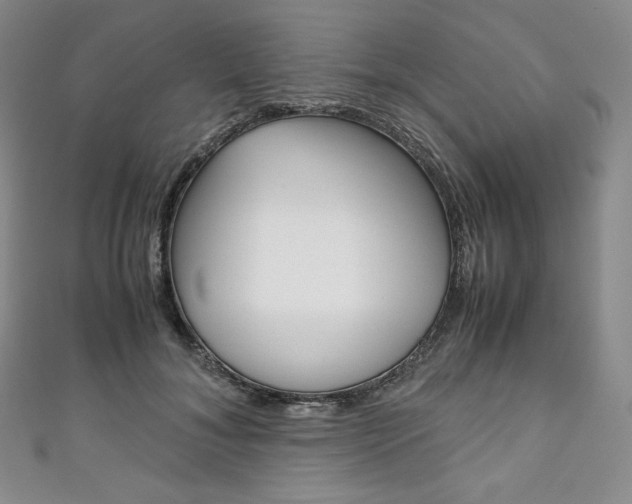 X0000111140700200906301017
