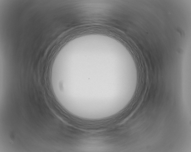 X0000111140701200906301017