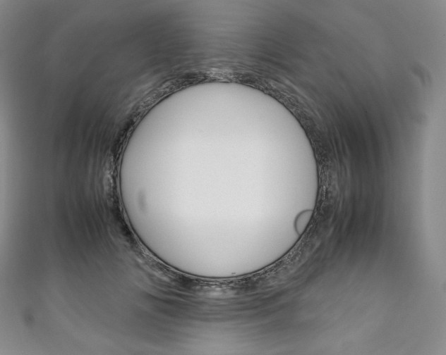 X0000111140702200906301017