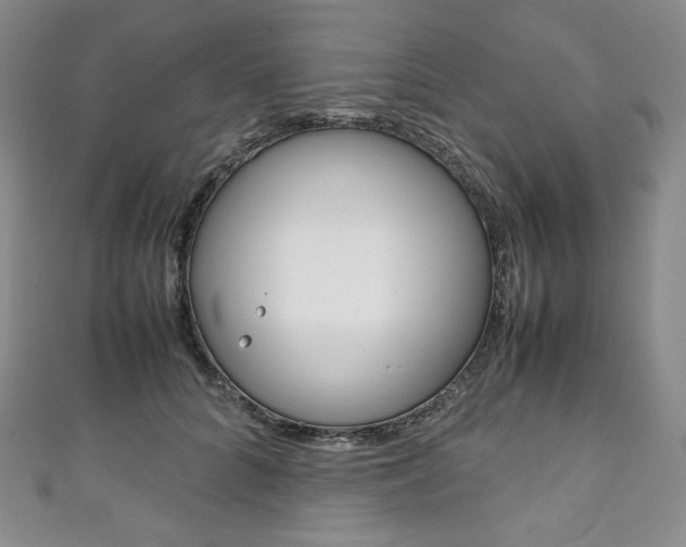 X0000111140704200906301017
