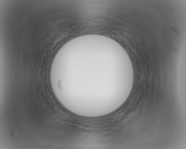 X0000111140705200906301017