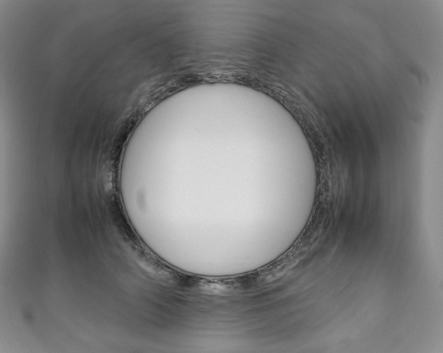 X0000111140706200906301017