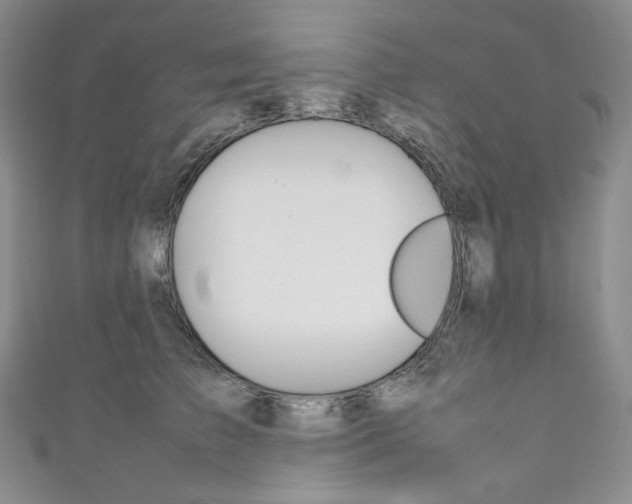 X0000111140709200906301017