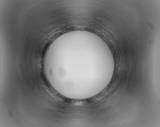 X0000111140710200906301017
