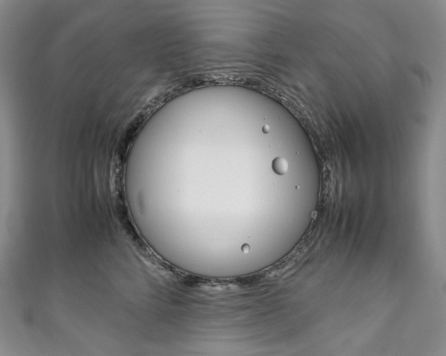 X0000111140712200906301017