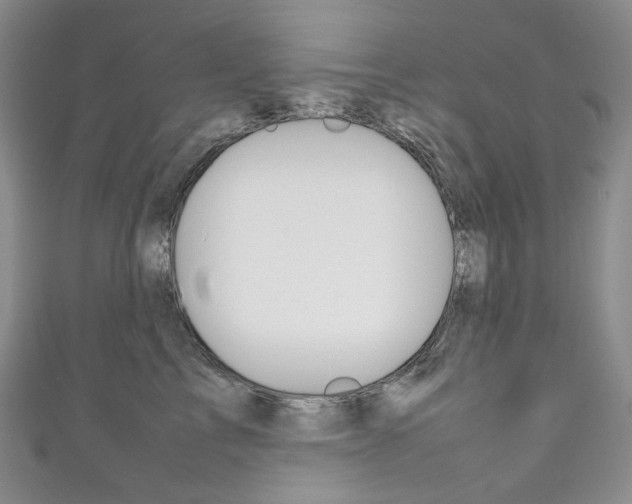 X0000111140713200906301017