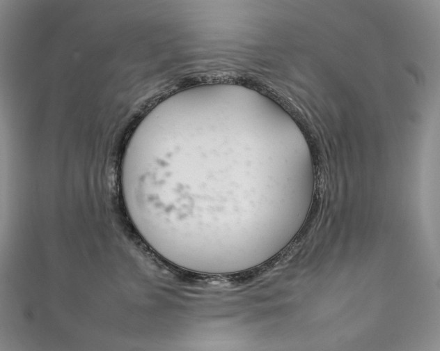 X0000111140715200906301017