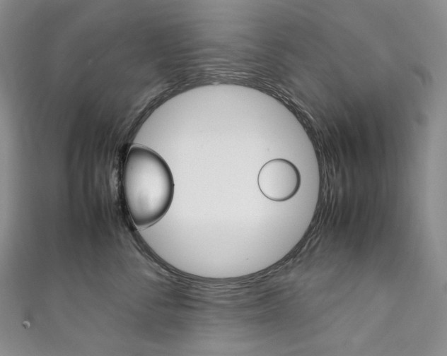 X0000111140716200906301017