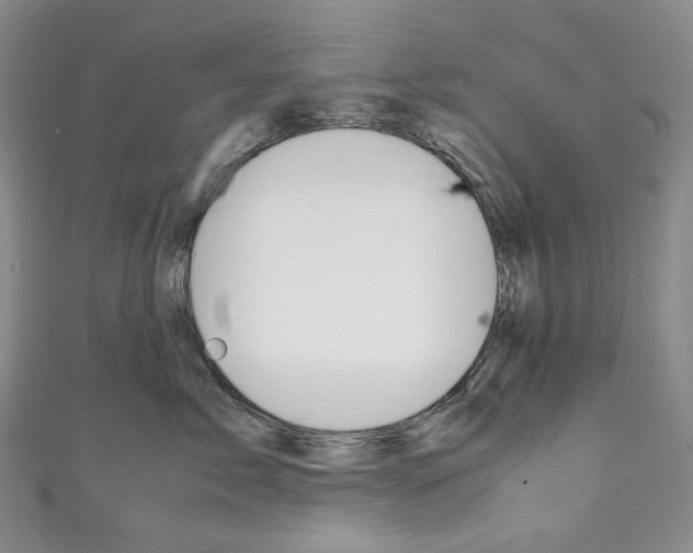 X0000111140717200906301017