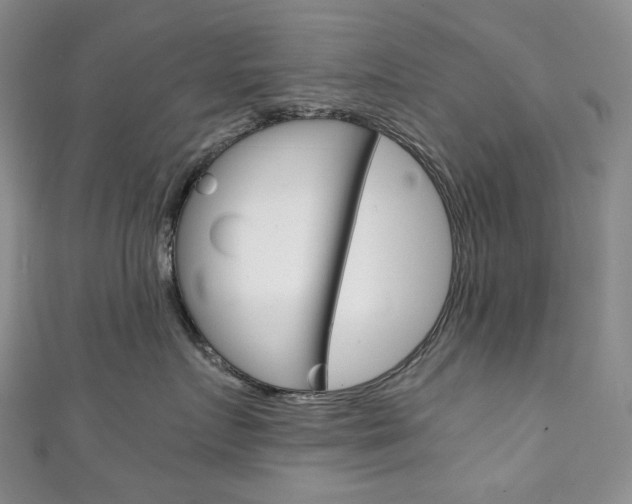X0000111140719200906301017