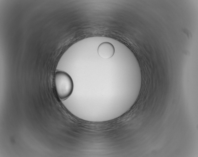X0000111140720200906301017